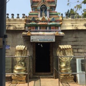 nagercoil nagaraja