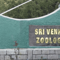 Sri Venkateswara Zoological Park – Tirupati Zoo Park- Timings, Entry Fee, Safari, Ticket Price, Photos