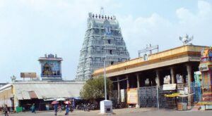 Parthasarathy Temple Pooja Timings