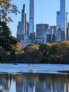 Central Park in New York things to do
