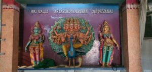 Timings of Karthikeya Swamy temple Chandigarh
