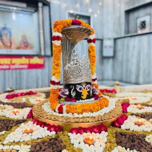 Sthaneshwar Mahadev Temple timings