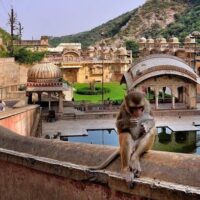 Galtaji Temple – Jaipur, History, Timings, Entry fee, Distance