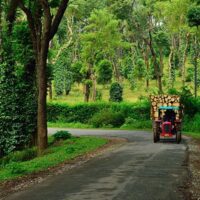 Exploring Coorg: Best Time to Visit, Must-See Tourist Places, and Top Sightseeing Spots