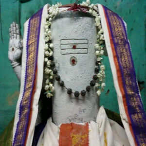 mahalingeswarar-temple-thiruvidaimarudur